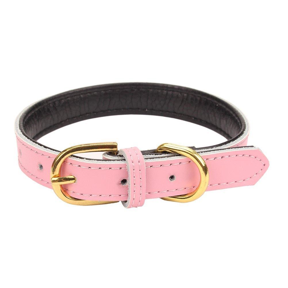 [Australia] - Mcdobexy Classic Soft Padded Leather Dog Collars or Leashes for Cats Puppy Small Medium Larger Dogs M (Neck11.5"-15") Pink 