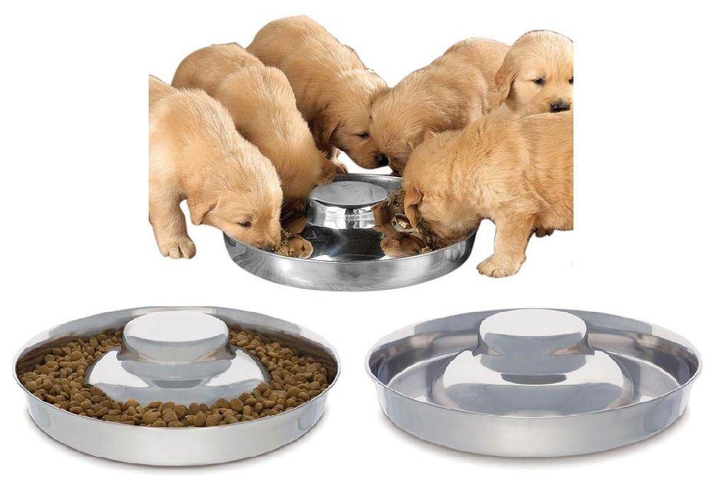 [Australia] - King International Stainless Steel Dog Bowl 2 Puppy Litter Food Feeding Weaning|SilverStainless Dog Bowl Dish| Set of 2 Pieces | 29 cm - for Small/Medium/Large Dogs, Pets Feeder Bowl and Water Bowl 