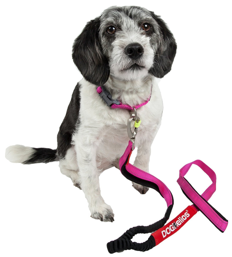 [Australia] - DOGHELIOS 'Neo-Indestructible' Embroidered Thick Durable Pet Dog Leash and Collar, Large, Pink 