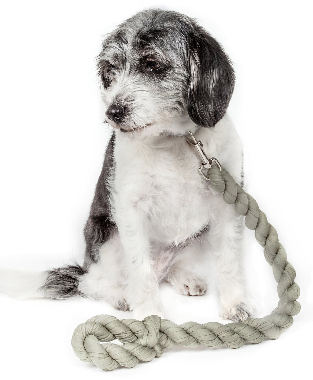 [Australia] - Pet Life Tough-Tugger Industrial-Strength Shock Absorption Woven Dog Leash Olive One Size 