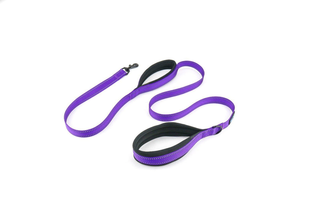 [Australia] - Waggin Tails Soft & Thick 5FT Double Handle Leash with Neoprene Padded Handle for Small to Medium Dog (Vibrant Purple) 