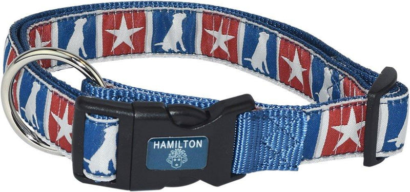 [Australia] - Hamilton FAL RO P57 Fashion Adjustable Dog Collar, Cactus Small Dog Star 