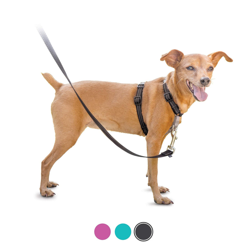 [Australia] - PetSafe 3 in 1 Harness - No-Pull Dog Harness - for X-Small, Small, Medium and Large Breeds - from the Makers of the Easy Walk Harness Black Extra Small 