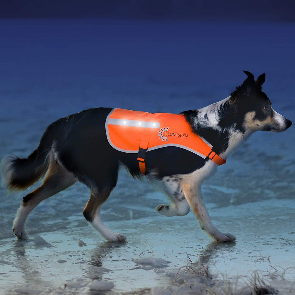 [Australia] - Illumiseen LED Dog Vest | Orange Safety Jacket with Reflective Strips & USB Rechargeable LED Lights | Increase Your Dog’s Visibility When Walking, Running, Training Outdoors | with Straps & Buckles X-Small 