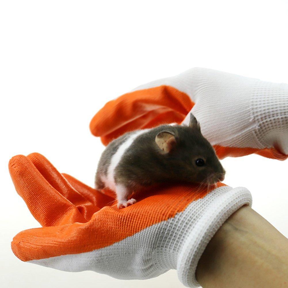 Fittoway Fitted Bite-proof Gloves Rubber Hand Protective Gloves Avoid Biting for Pet Hamster 1 Pair - PawsPlanet Australia