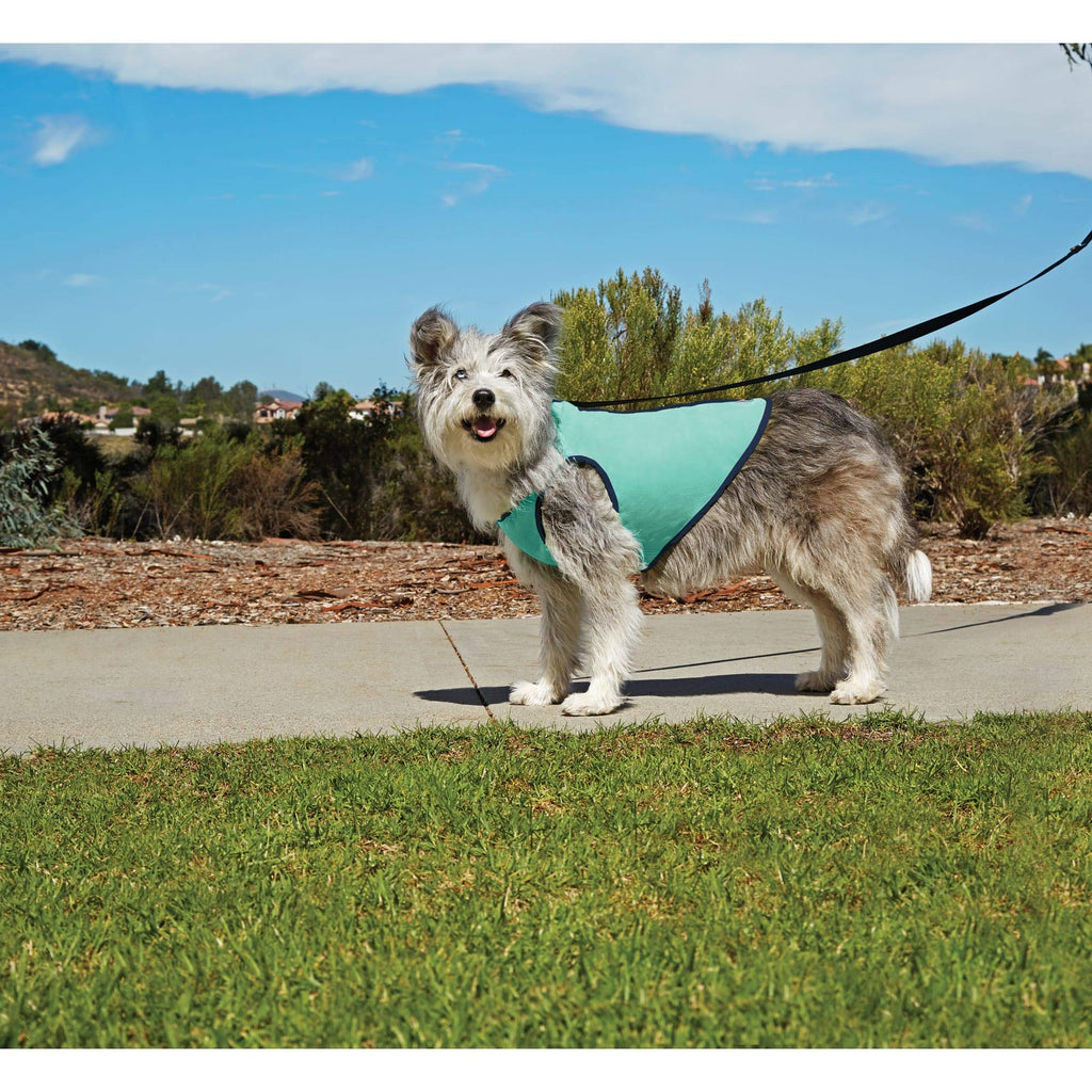 [Australia] - GOOD2GO Cooling Dog Vest X-Large 