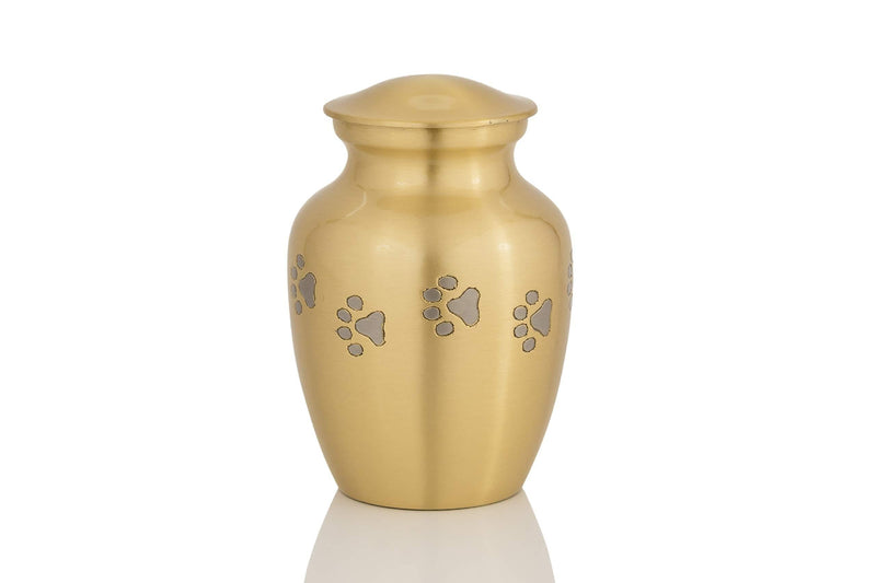 Enshrined Memorials Cremation Urn for Ashes - Cerberus Series Affordable Brass Handcrafted Pets Dogs Cats Funeral Burial Small 6 inch Paw Prints Matte Gold (Horizontal Paws) - PawsPlanet Australia
