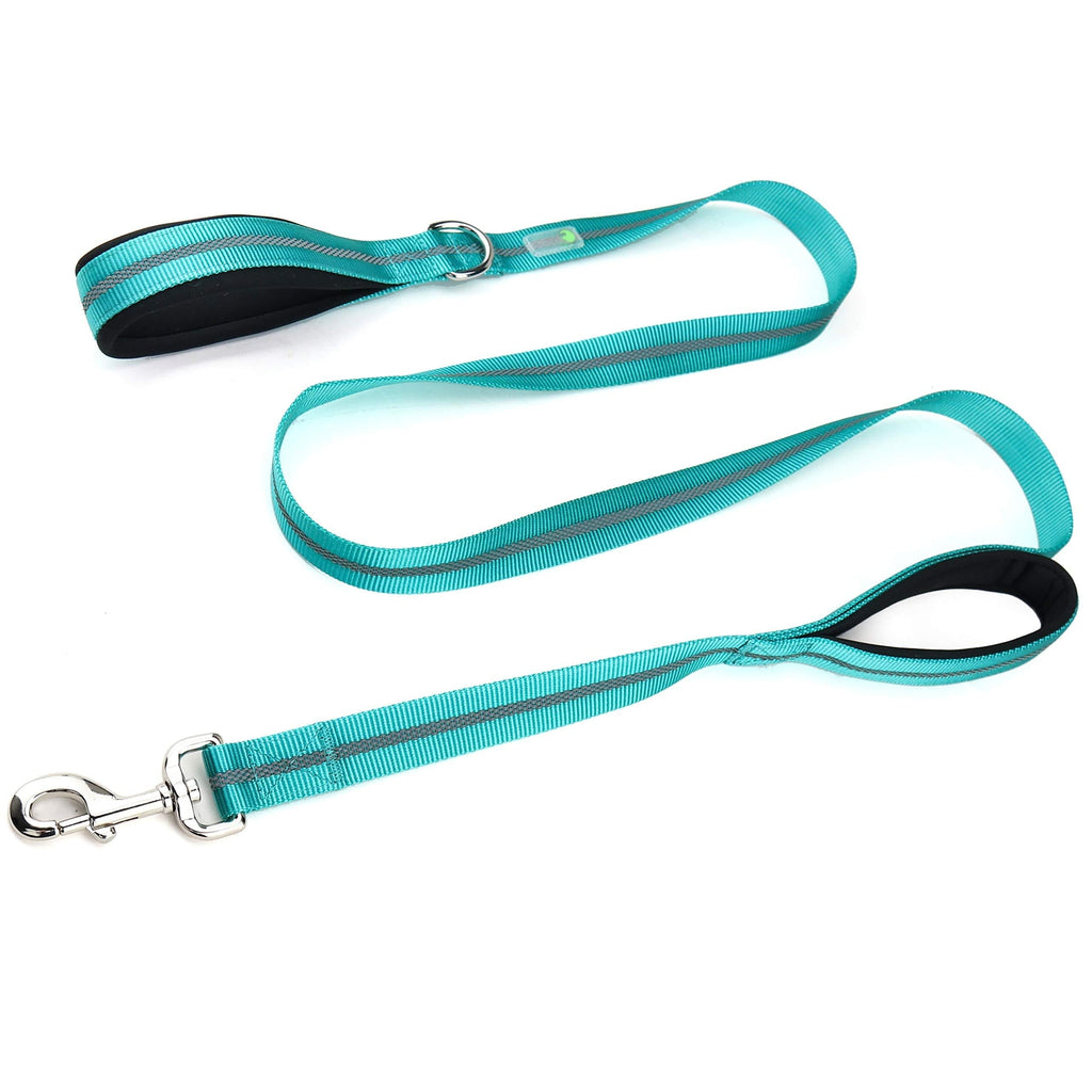 [Australia] - DCbark Dual Handle Lead, Double Padded Traffic Handle Dog Leash, Reflective Leash with 2 Comfortable Handles L Teal 