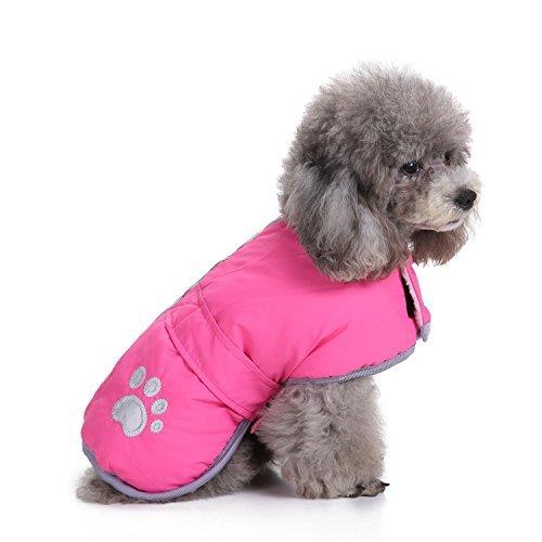 [Australia] - S-Lifeeling Pet Dog Two Sides Reflective Wear Fashion Autumn and Winter Warm Coat Cotton-Padded Dowan Jacket Clothing back length 14" pink 