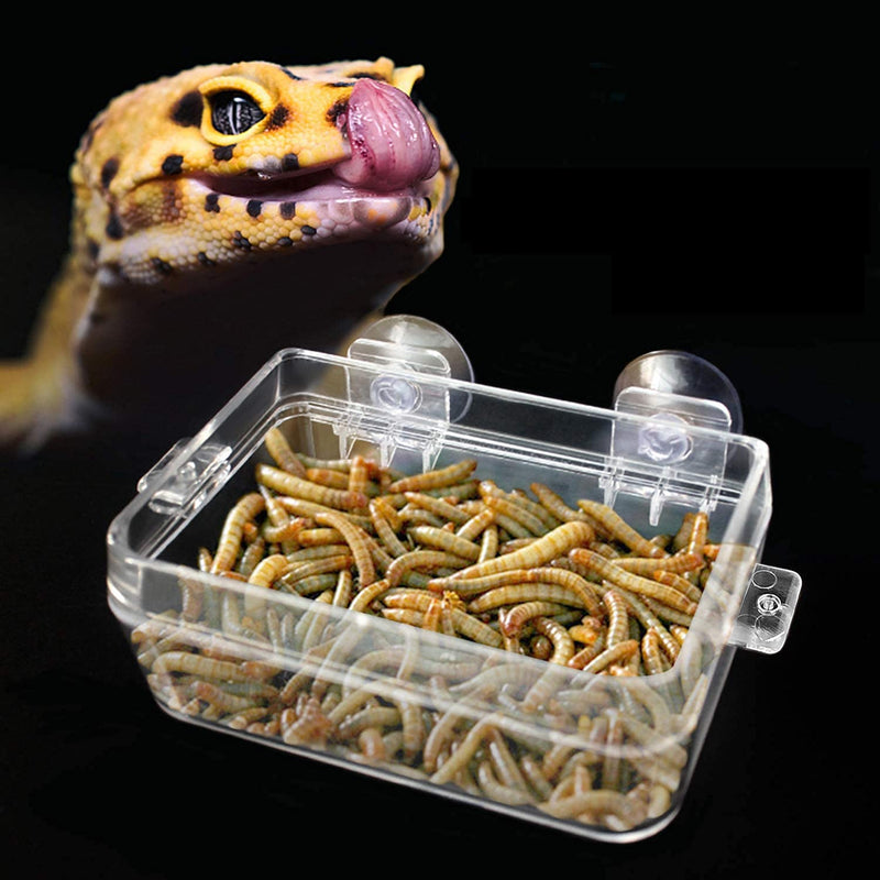 BWOGUE Suction Cup Gecko Feeder Anti-Escape Dish Reptiles Ledge Accessories for Chameleon Iguana Lizard Reptile Food and Water Feeding - PawsPlanet Australia