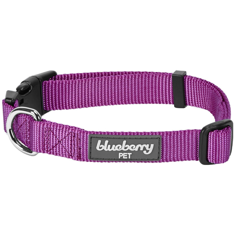 Blueberry Pet Essentials 21 Colors Classic Dog Collar, Violet, X-Small, Neck 8"-11", Collars for Dogs Regular Collar - X-Small M Color: Violet - PawsPlanet Australia