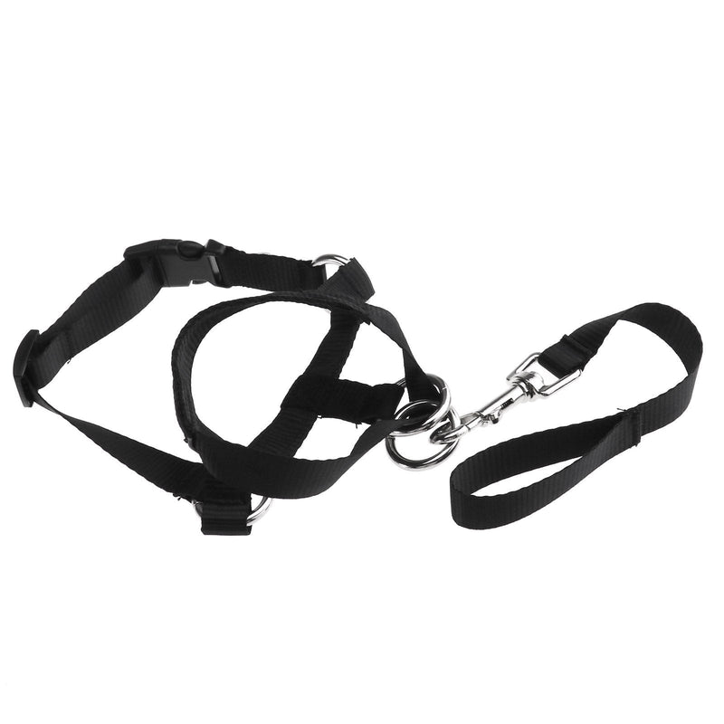 [Australia] - Micro Trader Dog Pet Muzzle Adjustable Head Halter Buckle Style Muzzle Halter Stops Dog Pulling Halter Training Black Large 