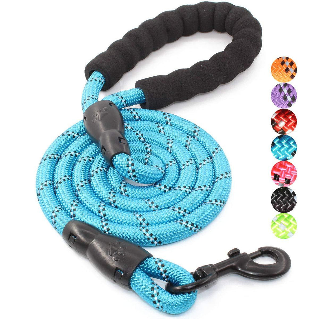 [Australia] - BAAPET 5 FT Strong Dog Leash with Comfortable Padded Handle and Highly Reflective Threads for Small Medium and Large Dogs 1/2'' x 5 FT (18~120 lbs.) Blue 