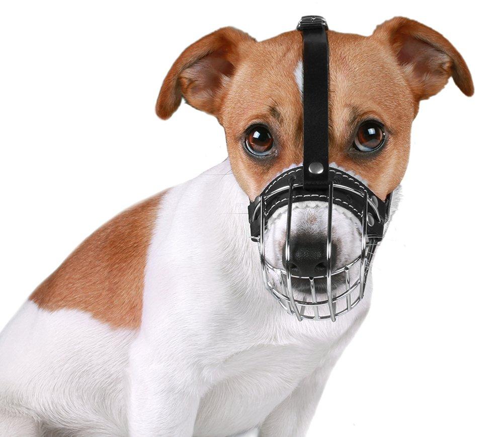 [Australia] - BronzeDog Wire Basket Dog Muzzle Jack Russell Terrier Metal Leather Adjustable Puppy Small 2XS 