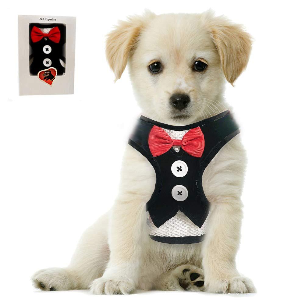 [Australia] - Bark Lover Small Puppy Harness with Bowtie, Adjustable Dog Mesh Tuxedo Harness Leash Set for Small Dog Kitten, Perfect for Party Wedding Holiday S Black Velvet 