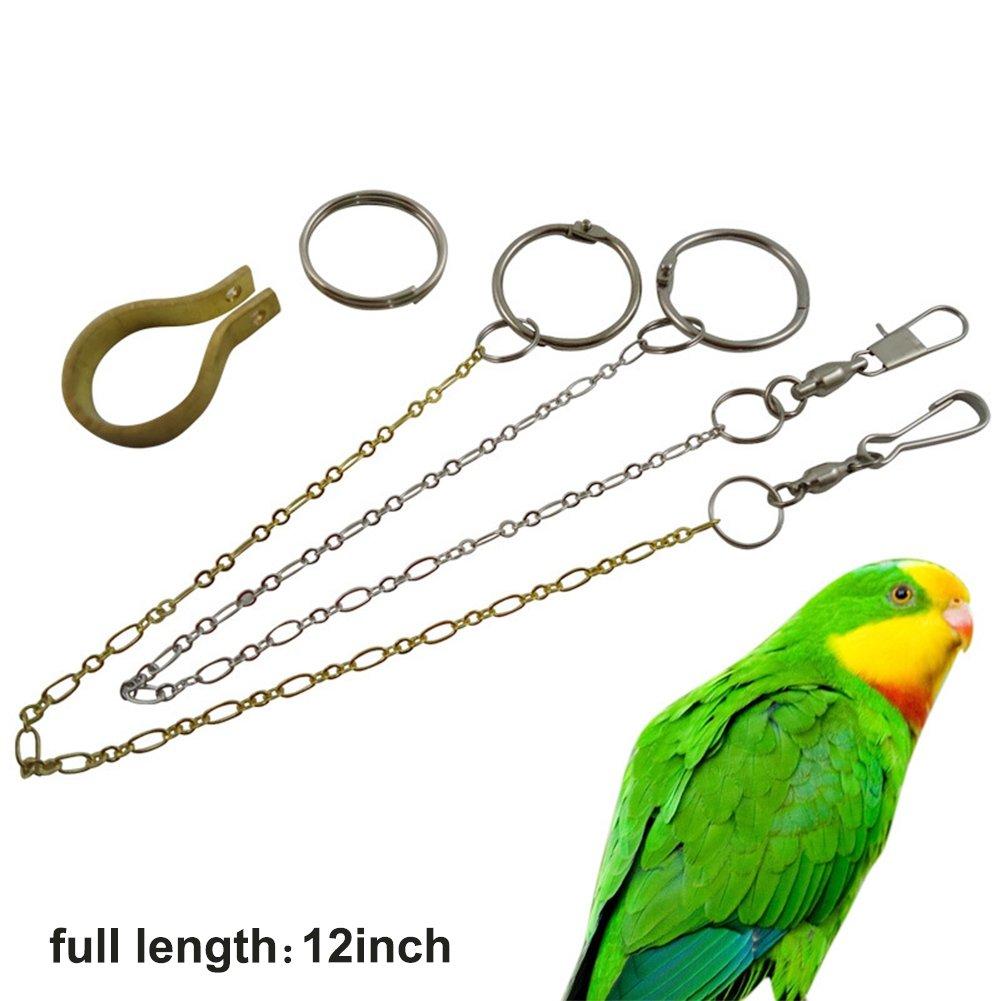 [Australia] - Parrot Foot Chain for Tiger Peony Medium to Large Parrots, Copper Ring and Stainless Steel Connector Design 