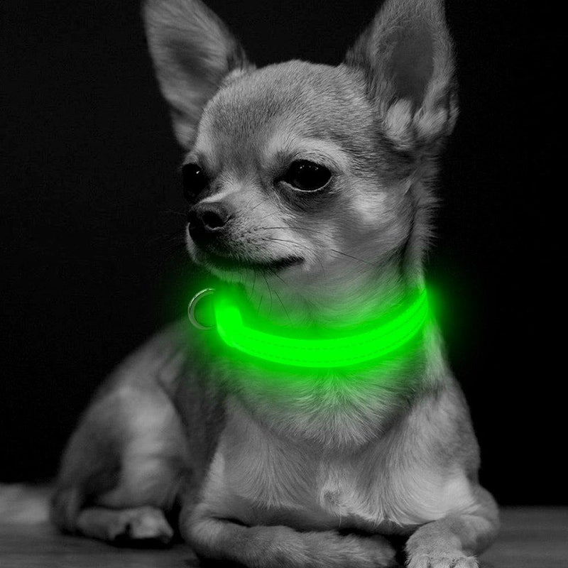 [Australia] - BSEEN Reflective Dog Collar& Leash Set, Double Layer Nylon Webbing Pet Collar& Leash Reflective Tapes, Pet Accessories Small Medium Large Dogs XS Green 