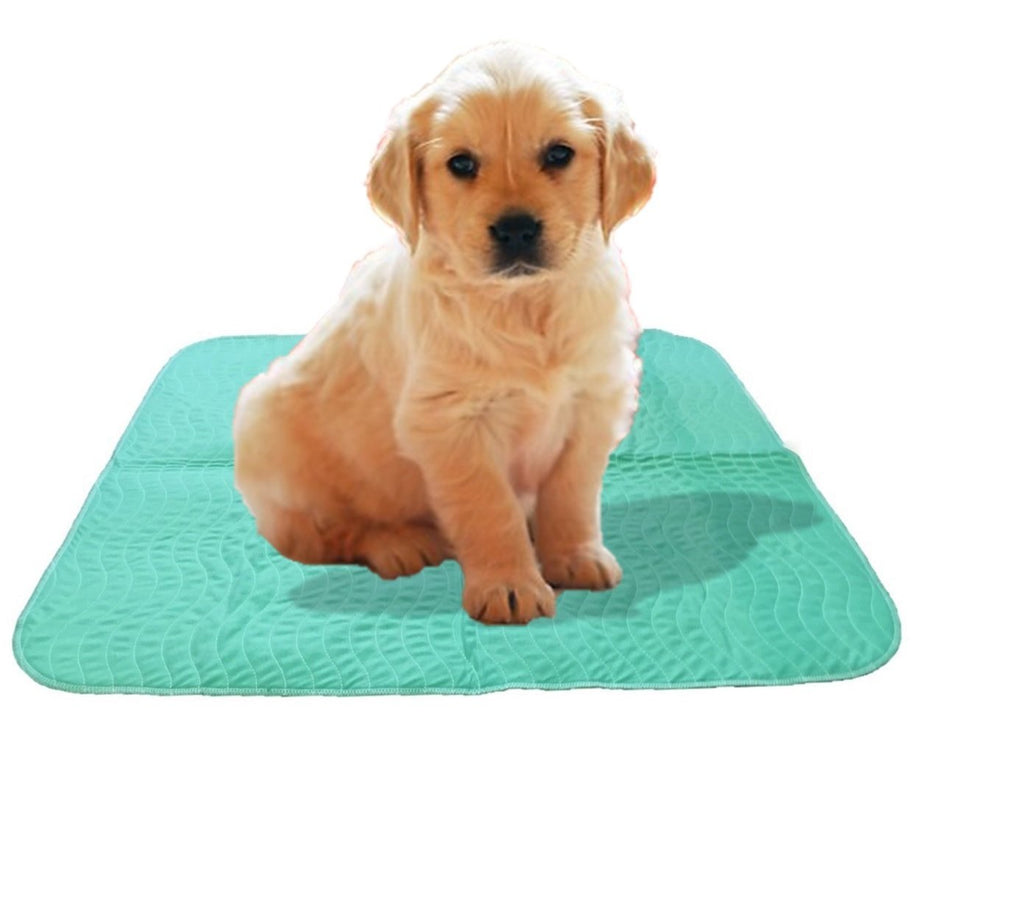 [Australia] - Deluxe Waterproof Reusable Washable Large Dog Puppy Pet Training Travel Pee Pads 2 Pack 