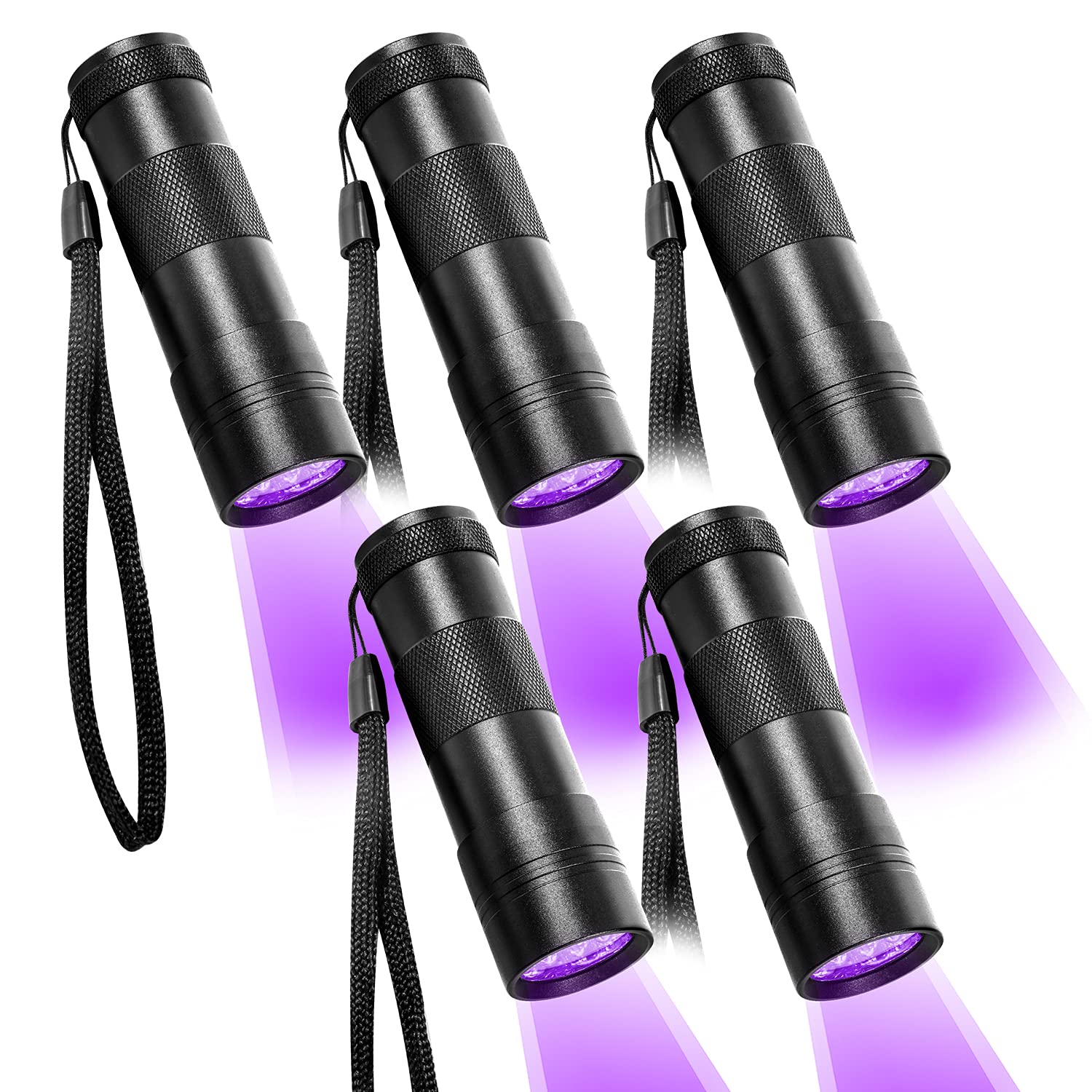 Beinhome Pack UV Flashlight Black Light 12 LED Ultra Violet Blacklight  Detector for Dog Cat Urine, Pet Stains, Bed Bug, Scorpion with AAA Free  Batteries PawsPlanet Australia