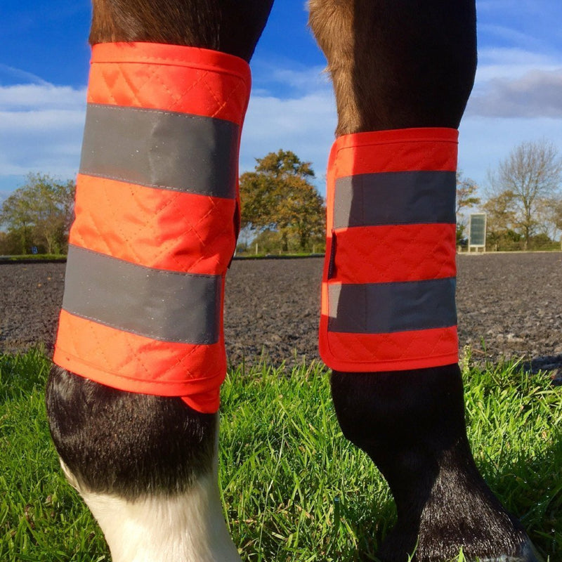 [Australia] - Weatherbeeta Equisafety Leg Boots II Red 