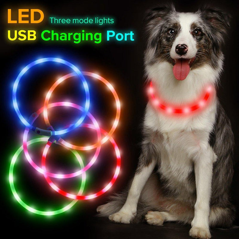 [Australia] - HiGuard LED Dog Collar, USB Rechargeable Glowing Pet Safety Collars, Adjustable Water-Resistant Flashing Light Up Necklace Collar Make Your Dogs High Visible & Safe in the Dark (1 Pack-Red) 