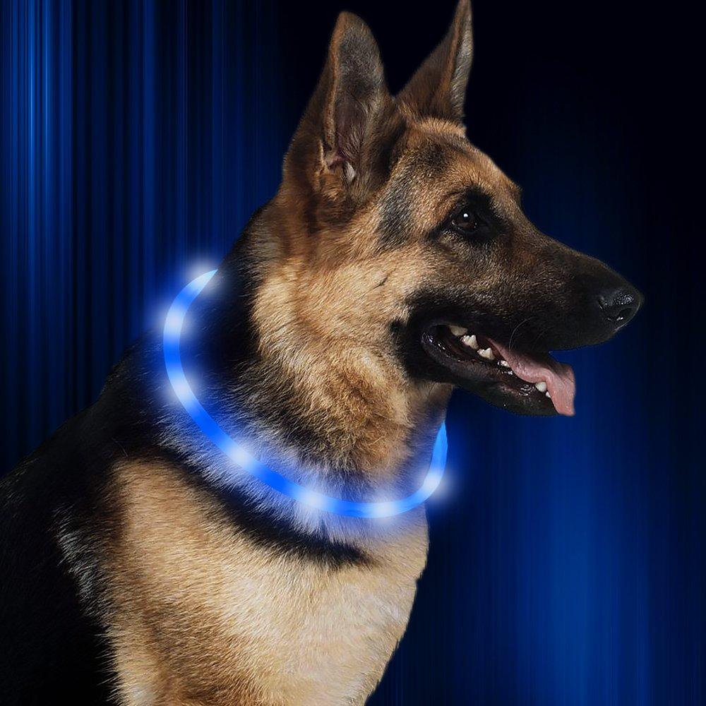 [Australia] - HiGuard LED Dog Collar, USB Rechargeable Glowing Pet Safety Collars, Adjustable Water-Resistant Flashing Light Up Necklace Collar Make Your Dogs High Visible & Safe in the Dark (1Pack-Blue) 
