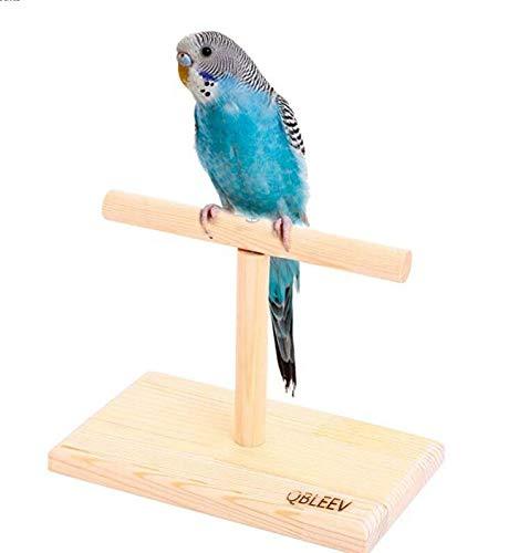 [Australia] - QBLEEV Bird Cage Stand Parrot Perch Training Stands Playstand Playgound Play Gym for Concures Parakeets Lovebirds Cockatiels bird training perch 