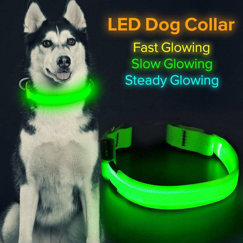 [Australia] - HiGuard LED Dog Collar, USB Rechargeable Glowing Pet Collar Night Safety LED Light Up with Nylon Webbing Perfect for Small, Medium, Large Dogs Green 