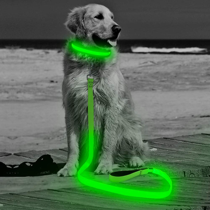 [Australia] - HiGuard LED Dog Leash - USB Rechargeable 4ft/120cm Long Nylon Webbing Pet Safety Leash - 3 Flashing Modes Light Up Perfect for Night Walking Neon Green 
