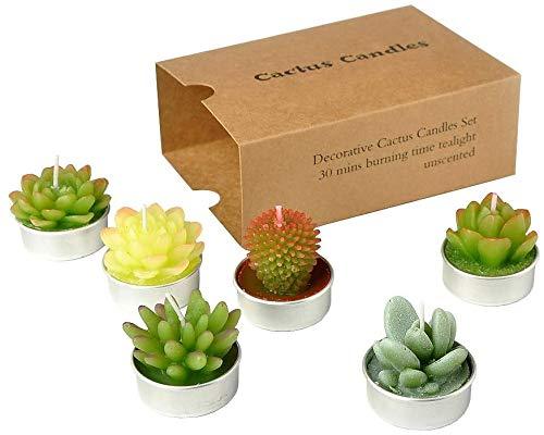 SanSeng Cactus Tealight Candles, Handmade Delicate Succulent Cactus Candles（ Perfect for Birthday Party ,Wedding, Spa, Home Decor( 6 Pcs in Pack) - PawsPlanet Australia