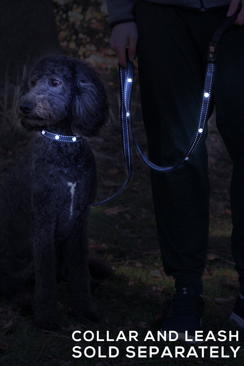[Australia] - Tuff Tails LED Lightning Dog Leash – USB Rechargeable | Super Bright for Night Visibility & Safety | Durable | Waterproof | Extra Long Black 