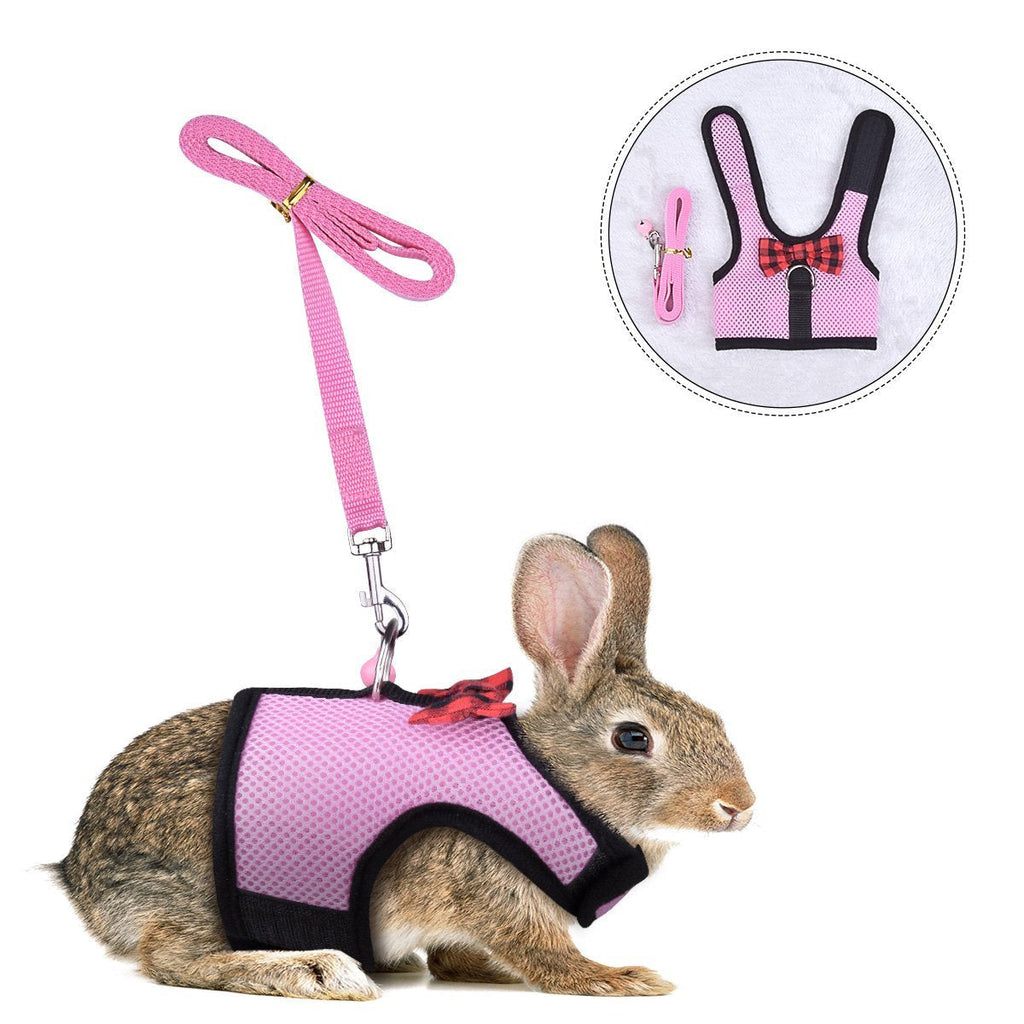 Rabbit Kitten Harness Cat Leash - Bunny Soft Nylon,Running,Walking Jogging Harness Leash with Safe Bell for Ferret and Other Small Pet Animals - PawsPlanet Australia