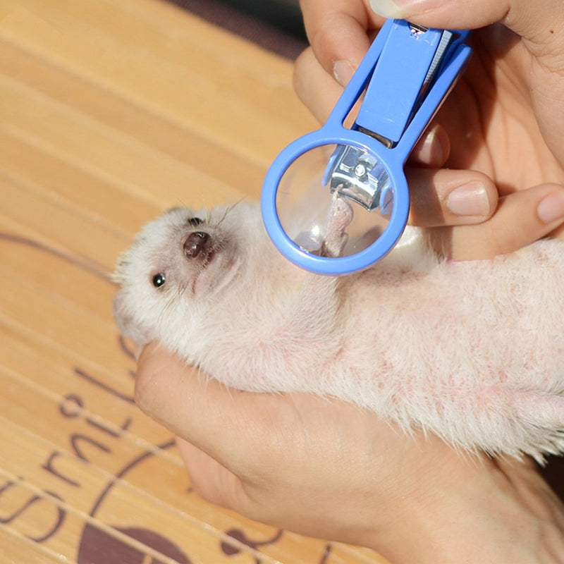 Frjjthchy Pet Hamster Hedgehog Nail Clipper Trimmer Small Animal Toenail Clippers with Magnifier (Random Color) - PawsPlanet Australia