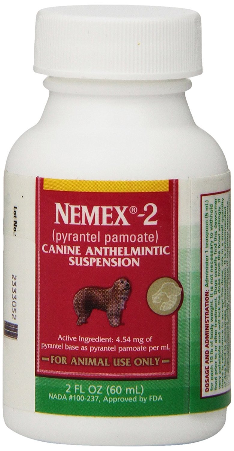 Pfizer Nemex 2 - Puppy Wormer (Pyrantel Pamoate) 2oz 60ml - PawsPlanet Australia