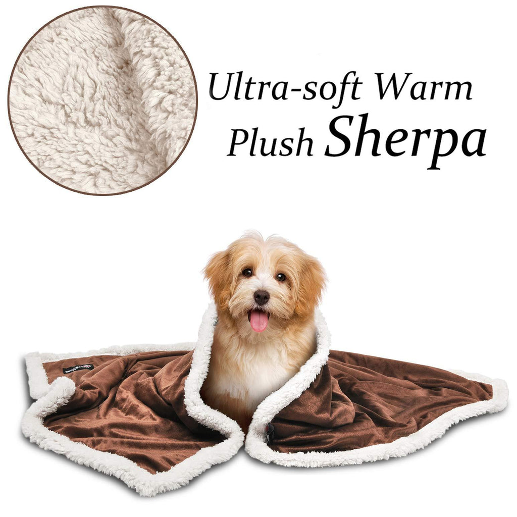 [Australia] - Premium Puppy Sherpa Blankets for Small Dog Cats Kitten | Ultra Soft Flannel Plush Pet Bed Blanket Reversible - 30x45 Inche 45"x30" Brown/Latte Sherpa Lining 