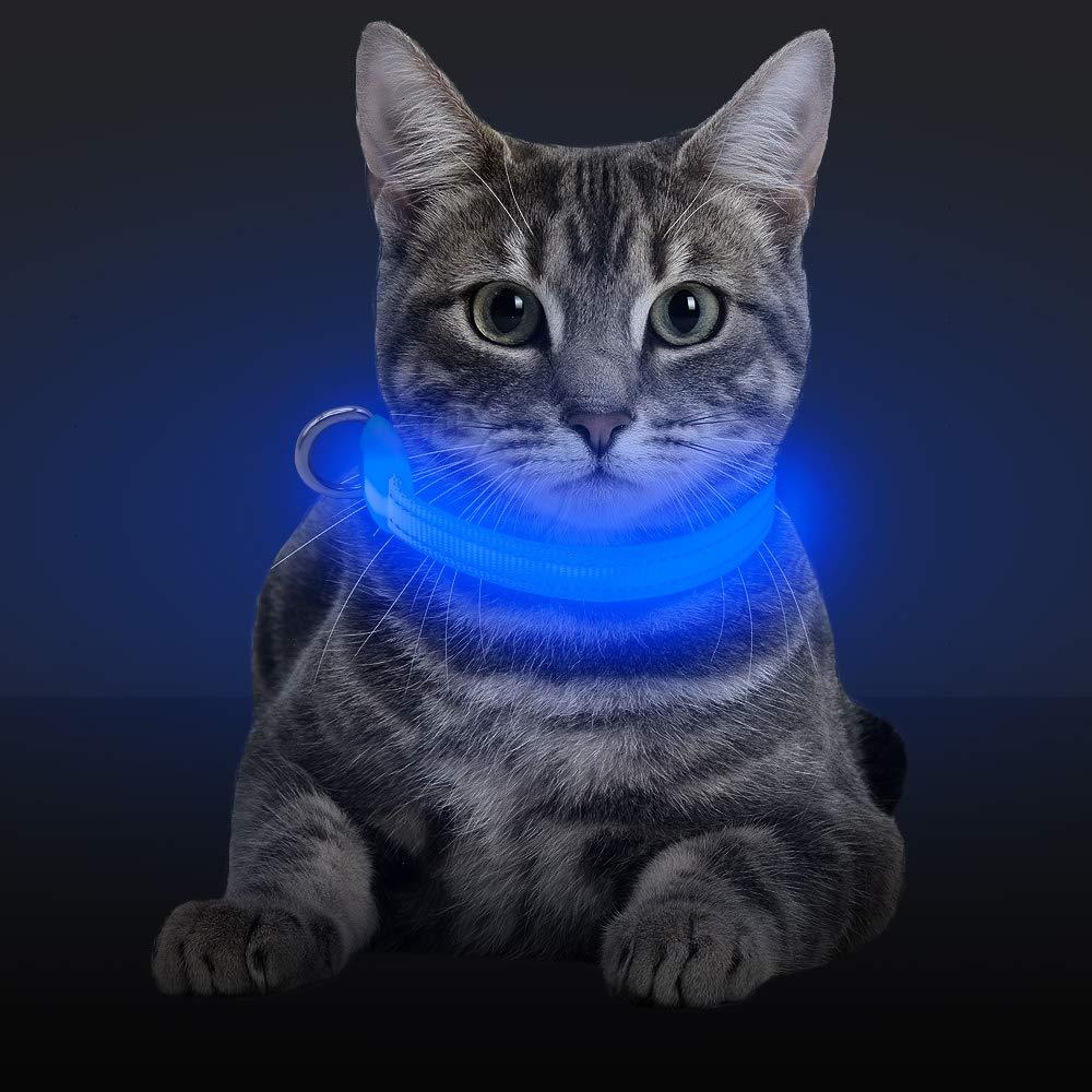 [Australia] - BSEEN LED Dog Collar, LED Dog Leash, USB Rechargeable Glowing Safety Dog Collar Light Up Adjustable Nylon Webbing Reflective Pet Dog Collar Leash for Dog & Cat XS Blue 