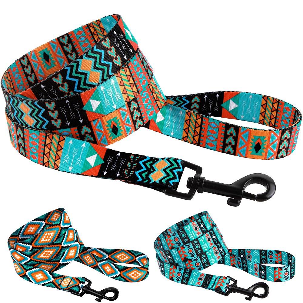 [Australia] - CollarDirect Nylon Dog Leash 5ft Tribal Pattern Durable Walking Pet Leashes for Dogs Small Medium Large Puppy Pattern 2 L 