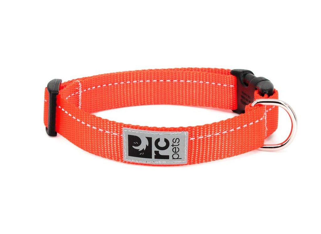 RC Pet Products 1" Primary Collection Adjustable Dog Collar, Orange, Medium - PawsPlanet Australia