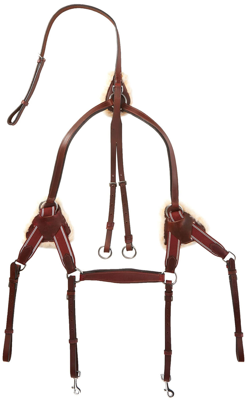 Cwell Equine New Leather 5 Point Breastplate + Martingale CHERRY Brown, XFull/Full/Cob/Pony (X FULL) X FULL - PawsPlanet Australia