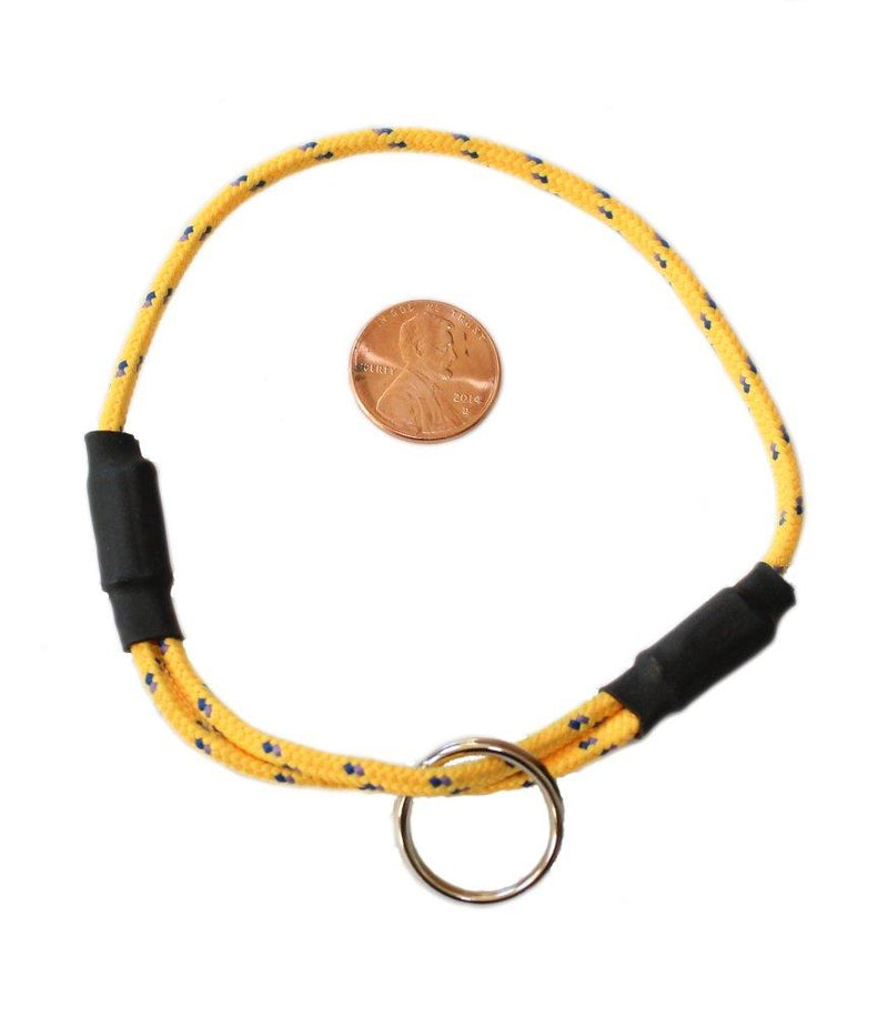 [Australia] - National Leash Thin Mountain Rope Dog ID Collar - Mango - XS/Toy Size (6"-12) - The Original Snickers Collar 