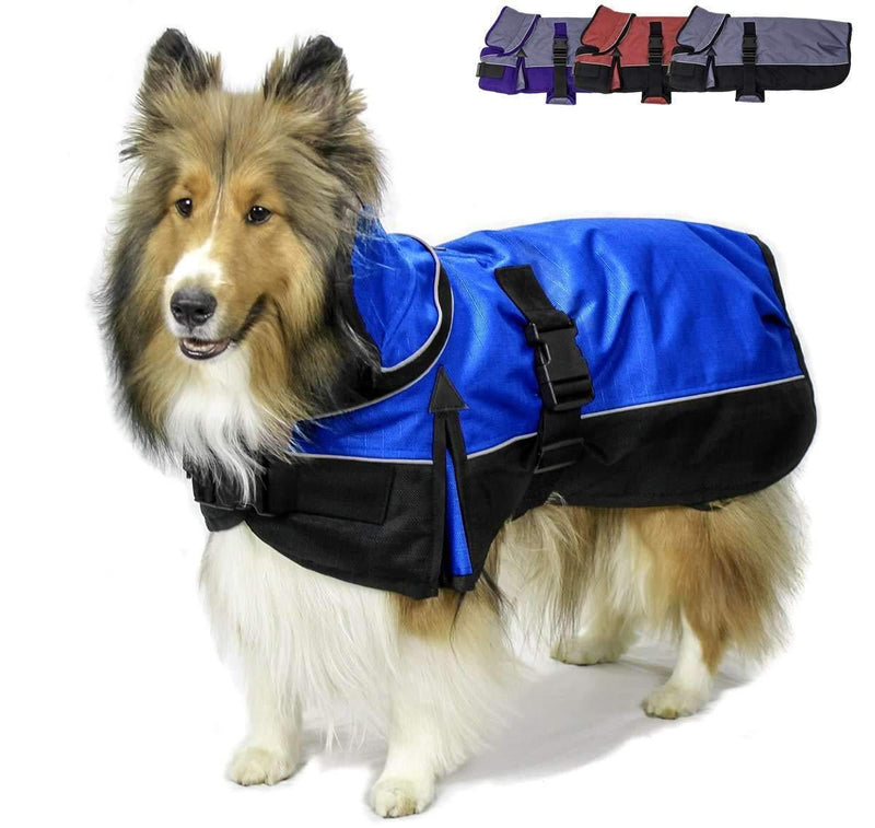 Derby Originals Ruff Pup 1200D Ripstop Waterproof Reflective Winter Dog Coat with Neck Cover and Harness Compatible Opening 220G 13" Electiric Blue/Black - PawsPlanet Australia