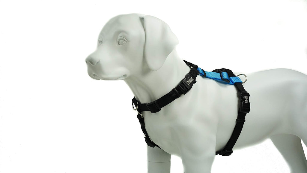 [Australia] - Balance Harness Buckle Neck (Large, Sky Blue) 