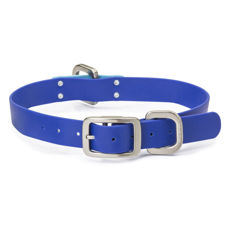 [Australia] - West Paw Jaunts Dog Collar, Made in USA Large Midnight Blue - Aqua 