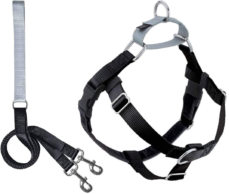 2 Hounds Design Freedom No Pull Dog Harness | Adjustable Gentle Comfortable Control for Easy Dog Walking |for Small Medium and Large Dogs | Made in USA | Leash Included XS (Chest 15"- 20") Black - PawsPlanet Australia