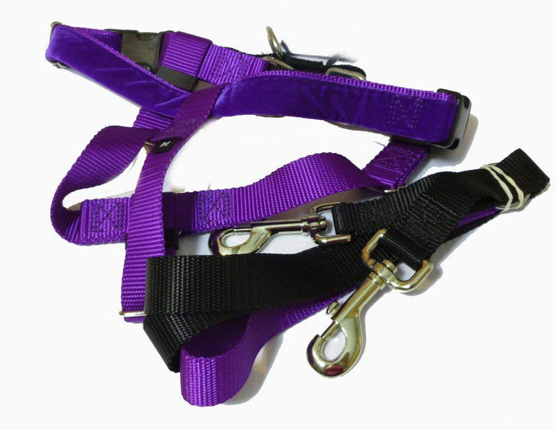 [Australia] - 2 Hounds Design Freedom No-Pull Dog Harness with Leash, Medium, 5/8-Inch Wide, Purple 