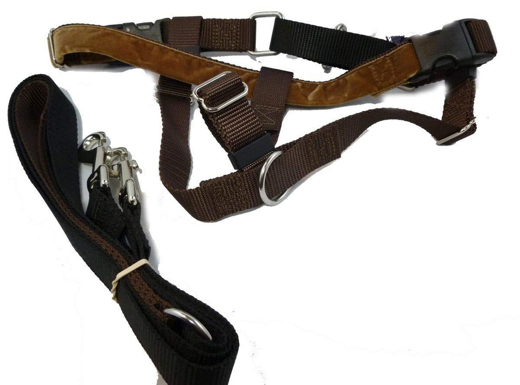 [Australia] - 2 Hounds Design Freedom No-Pull Dog Harness with Leash, Small, 5/8-Inch Wide, Brown 