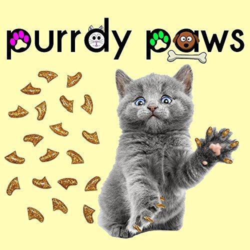 [Australia] - Purrdy Paws 40-Pack Soft Nail Caps for Cat Claws Gold Glitter Large 