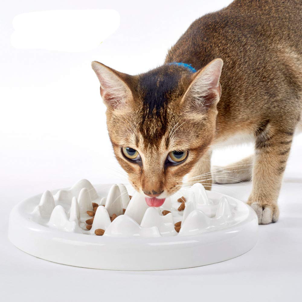 [Australia] - DotPet Slow Feeder Bowl, Ceramic Fun Interactive Feeder Bloat Stop Cat Bowl Preventing Feeder Anti Gulping Healthy Eating Diet Pet Bowls Against Bloat, Indigestion and Obesity 