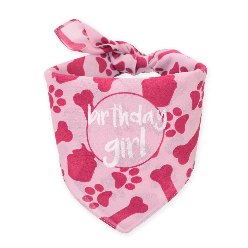 hecho Dog Birthday Bandana - Girl - PawsPlanet Australia