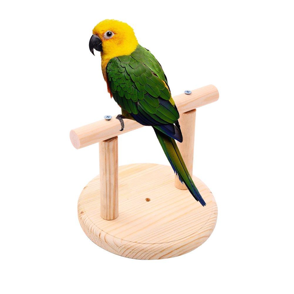 QBLEEV Bird Cage Stand Parrot Perch Training Stands Playstand Playgound Play Gym for Concures Parakeets Lovebirds Cockatiels bird training stand - PawsPlanet Australia